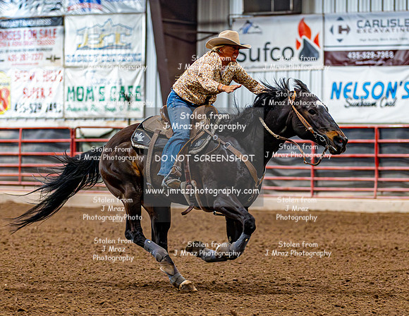 SatDog&PonyShow-May-JMrazPhotography-551