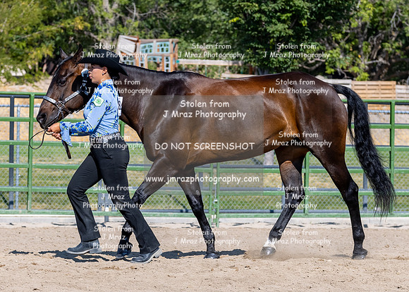 SLC4H-JMrazPhotography-6