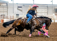 SatDog&PonyShow-May-JMrazPhotography-350
