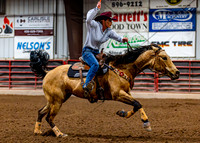 SatDog&PonyShow-May-JMrazPhotography-1880