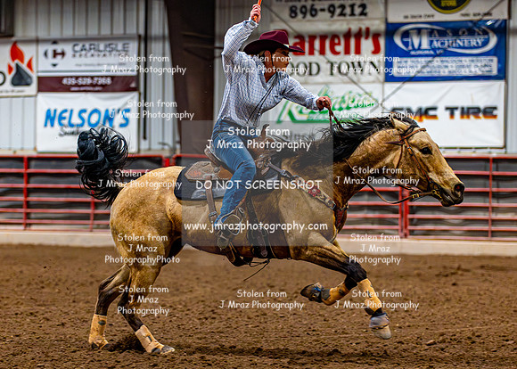 SatDog&PonyShow-May-JMrazPhotography-1880