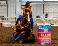 Dog & Pony - 2025