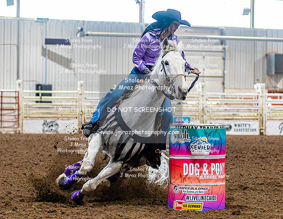 SatDog&PonyShow-May-JMrazPhotography-477