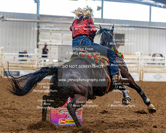 SatDog&PonyShow-May-JMrazPhotography-1194