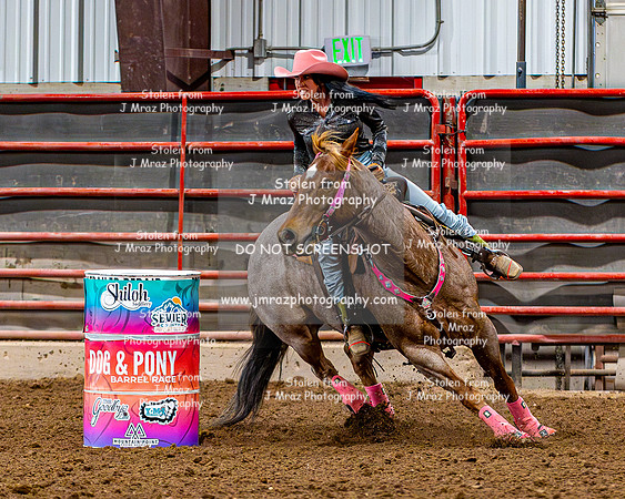 SatDog&PonyShow-May-JMrazPhotography-1208