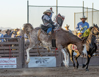 RMPRA-Genola-2024-JMrazPhotography-BarebackRiding-14