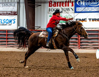 SatDog&PonyShow-May-JMrazPhotography-35