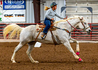 SunDog&PonyShow-May-JMrazPhotography-1020
