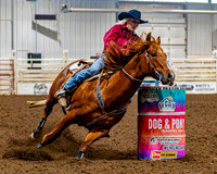 SatDog&PonyShow-May-JMrazPhotography-1819