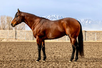 Brazillionaire-1