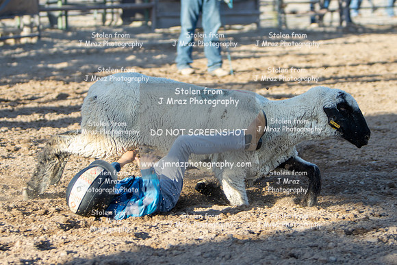 RMPRA-Genola-2024-JMrazPhotography-MuttonBusting-17