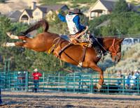 Saddle Bronc Riding
