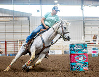 Dog&PonyShow-SaturdayAwards-850