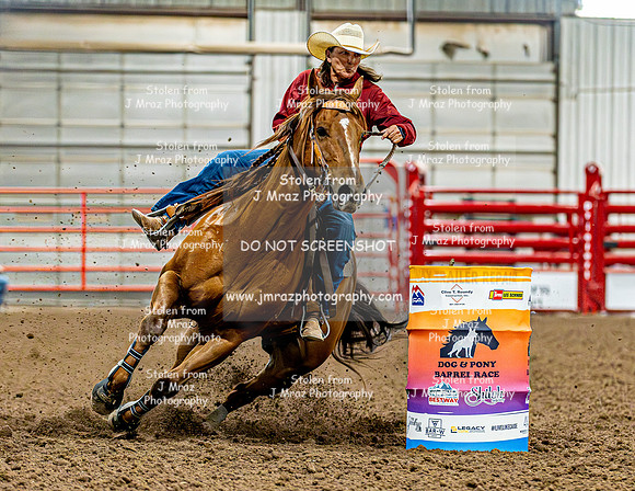 DogAndPony-Friday-2026-JMrazPhotography-0036
