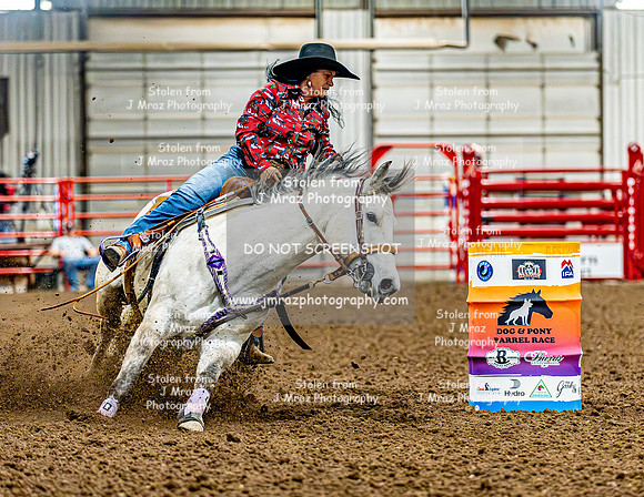 DogAndPony-Friday-2026-JMrazPhotography-0074