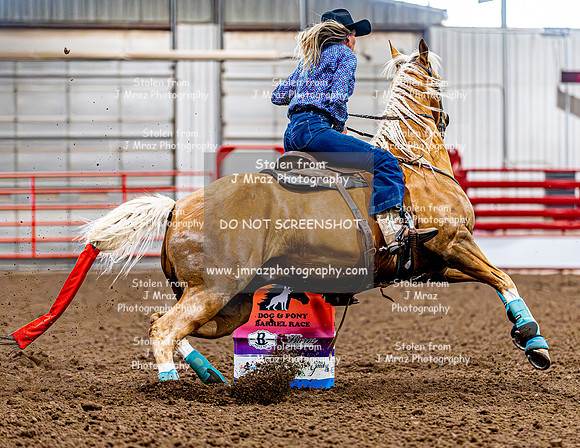 DogAndPony-Friday-2026-JMrazPhotography-0303