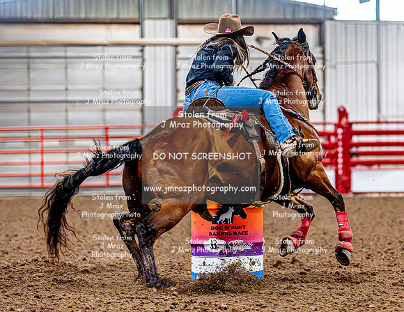 DogAndPony-Friday-2026-JMrazPhotography-0498