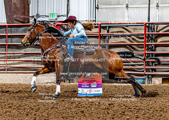 DogAndPony-Friday-2026-JMrazPhotography-0531