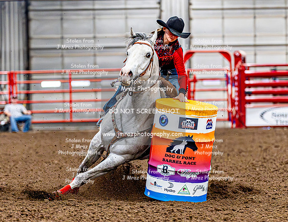 DogAndPony-Friday-2026-JMrazPhotography-0689