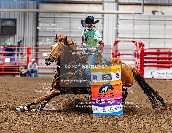 DogAndPony-Friday-2026-JMrazPhotography-0774