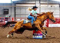 DogAndPony-Friday-2026-JMrazPhotography-0779
