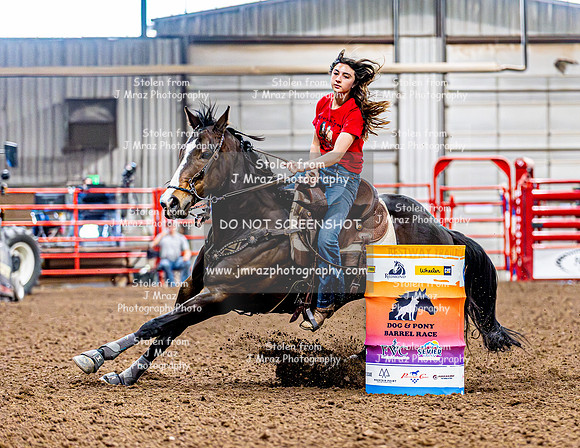 DogAndPony-Friday-2026-JMrazPhotography-0838