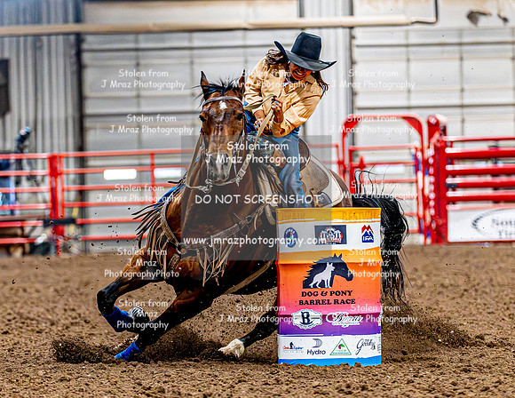 DogAndPony-Friday-2026-JMrazPhotography-0879