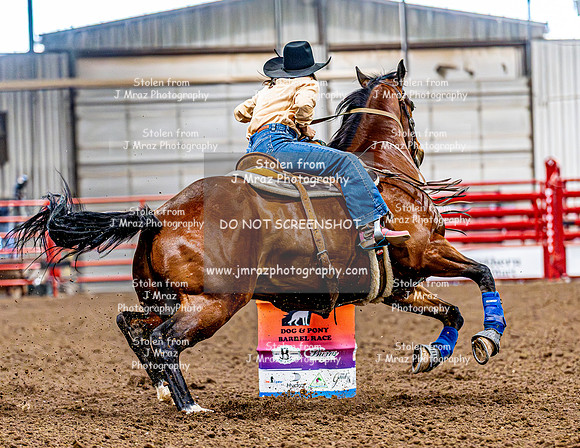 DogAndPony-Friday-2026-JMrazPhotography-0884