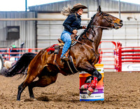 DogAndPony-Friday-2026-JMrazPhotography-1001