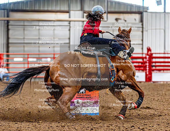 DogAndPony-Friday-2026-JMrazPhotography-1091