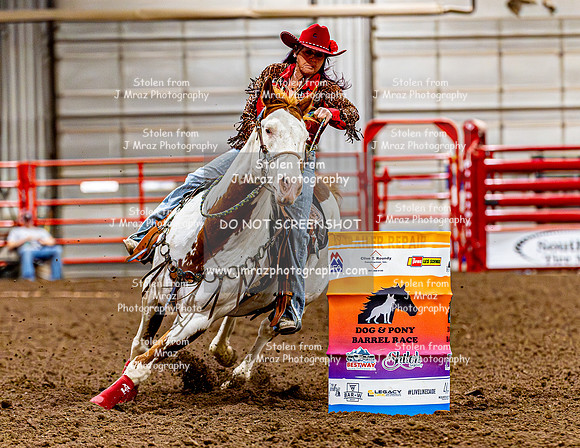 DogAndPony-Friday-2026-JMrazPhotography-1186