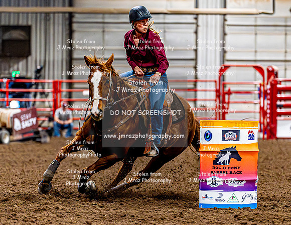 DogAndPony-Friday-2026-JMrazPhotography-1235