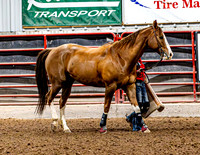 DogAndPony-Friday-2026-JMrazPhotography-1323