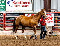 DogAndPony-Friday-2026-JMrazPhotography-1324
