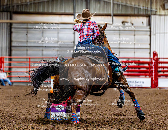 DogAndPony-Friday-2026-JMrazPhotography-1560