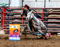 DogAndPony-Friday-2026-JMrazPhotography-1579