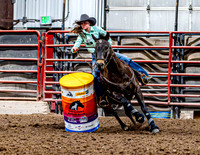 DogAndPony-Friday-2026-JMrazPhotography-1744
