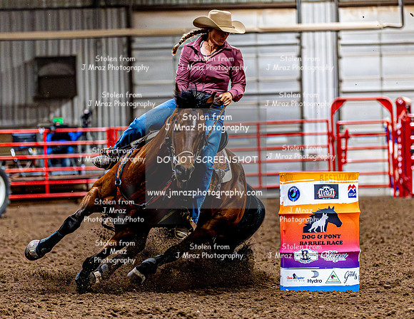 DogAndPony-Friday-2026-JMrazPhotography-1888