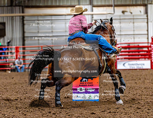 DogAndPony-Friday-2026-JMrazPhotography-1891