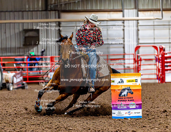 DogAndPony-Friday-2026-JMrazPhotography-1973
