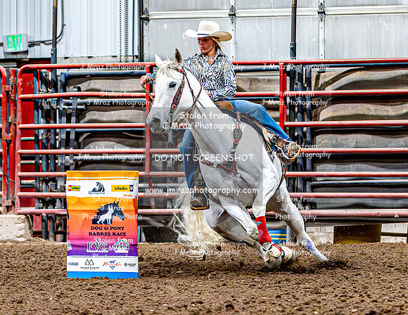 DogAndPony-Friday-2026-JMrazPhotography-2014