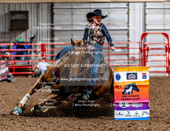 DogAndPony-Friday-2026-JMrazPhotography-2076