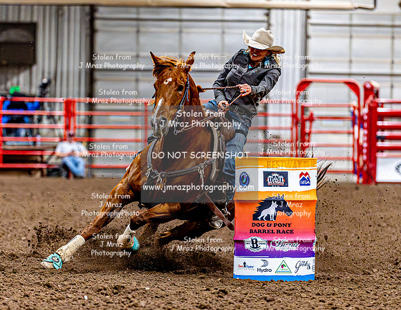 DogAndPony-Friday-2026-JMrazPhotography-2188