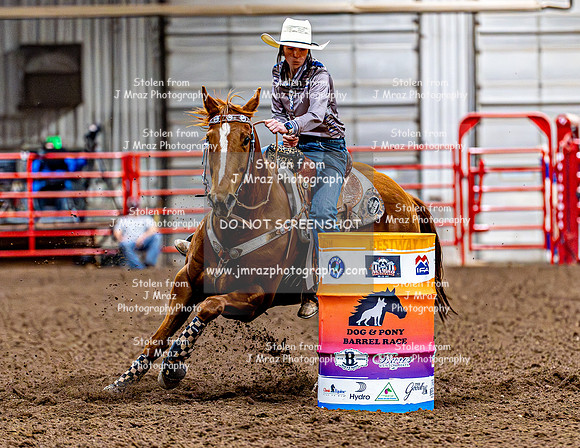 DogAndPony-Friday-2026-JMrazPhotography-2233