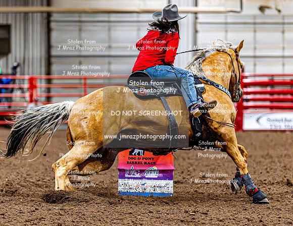 DogAndPony-Friday-2026-JMrazPhotography-2267