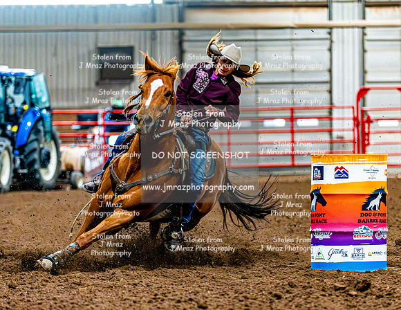 DogAndPony-Saturday-2026-JMrazPhotography-0026