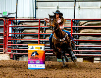 DogAndPony-Saturday-2026-JMrazPhotography-0044