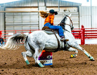 DogAndPony-Saturday-2026-JMrazPhotography-0038