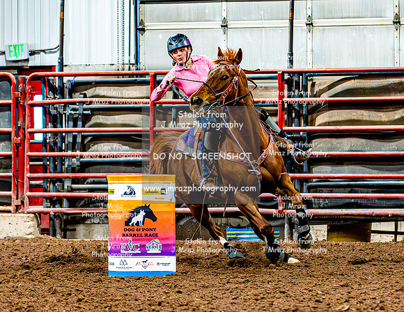 DogAndPony-Saturday-2026-JMrazPhotography-0063