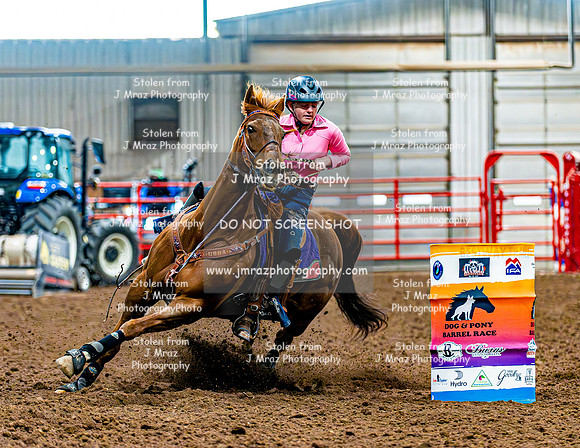 DogAndPony-Saturday-2026-JMrazPhotography-0065